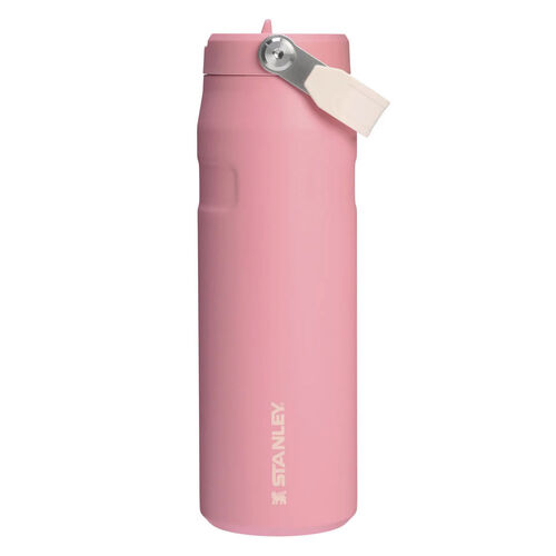 Stanley The Iceflow™ Bottle With Flip Straw Lid 24oz Pink Mesa